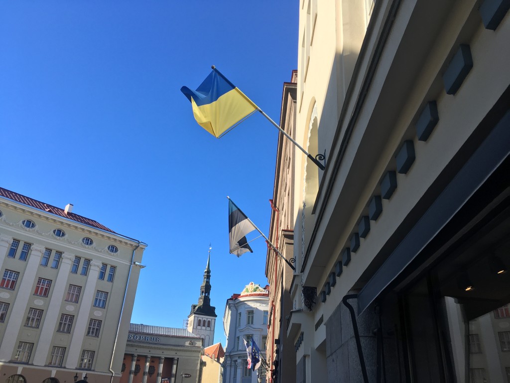Eesti_ukraina_lipud.jpg