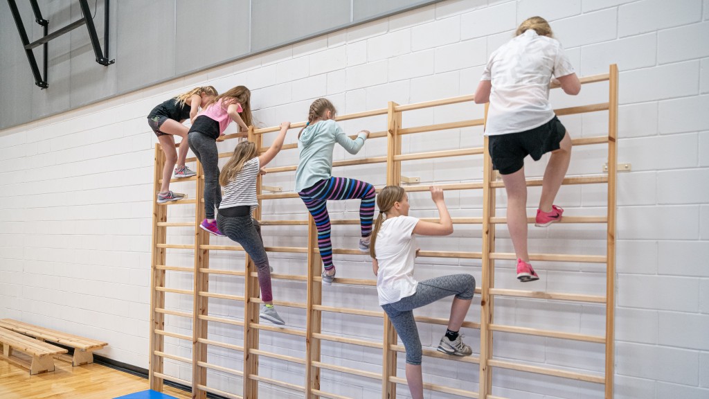 Kids climbing gym ladder.jpeg